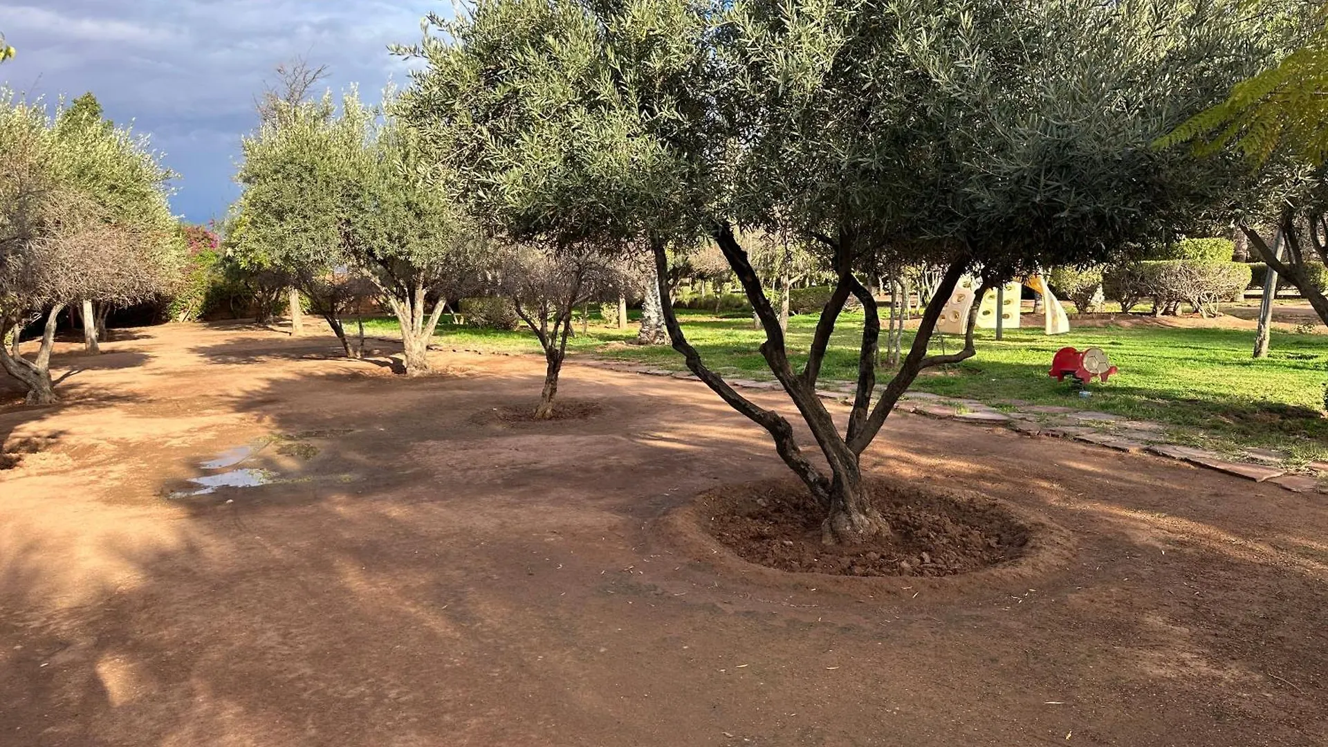 Palais Mamina 380M2 Au Coeur De La Palmeraie De Marrackech Marrakesh 0*,  Morocco